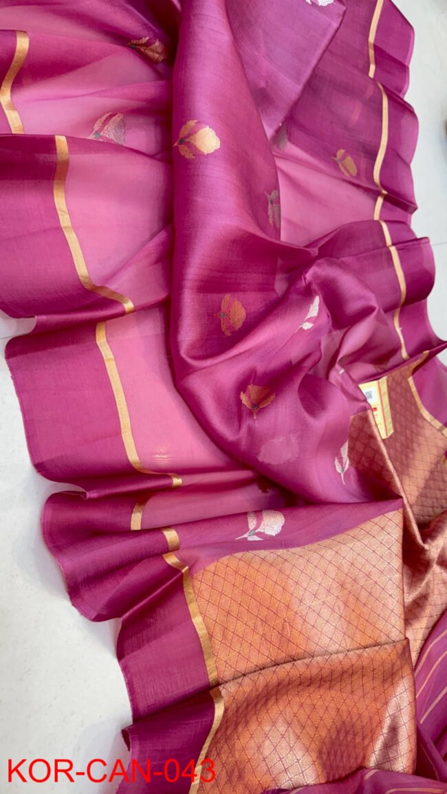 Banarasi Pure Handloom Kora Organza